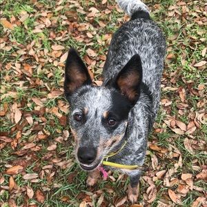 Meet your Posher, Kelly